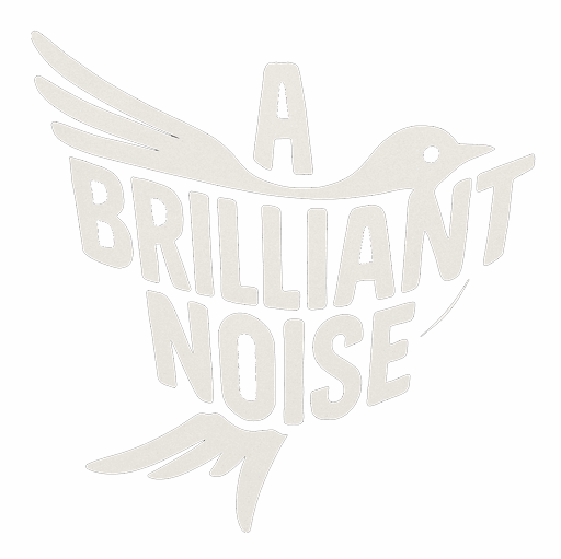 A Brilliant Noise